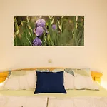 Apartmaji Alpski Cvet - Hisa Gorenc *