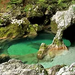 Apartmaji Alpski Cvet - Hisa Gorenc Apartment Bohinj