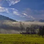 Apartmaji Alpski Cvet - Hisa Gorenc *