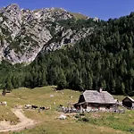 Apartmaji Alpski Cvet - Hisa Gorenc Apartment Bohinj