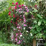 Apartmaji Alpski Cvet - Hisa Gorenc Apartment