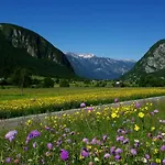 Apartmaji Alpski Cvet - Hisa Gorenc * Bohinj