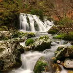 Apartmaji Alpski Cvet - Hisa Gorenc