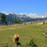 Apartmaji Alpski Cvet - Hisa Gorenc Apartment Bohinj