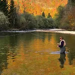 Apartmaji Alpski Cvet - Hisa Gorenc Apartment Bohinj