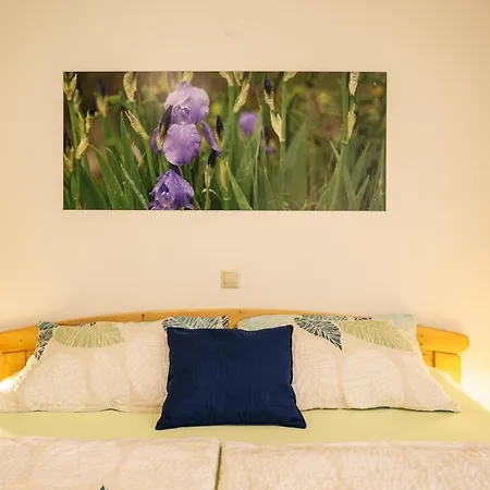 Apartmaji Alpski Cvet - Hisa Gorenc *