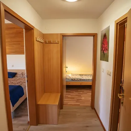 Apartmaji Alpski Cvet - Hisa Gorenc Bohinj