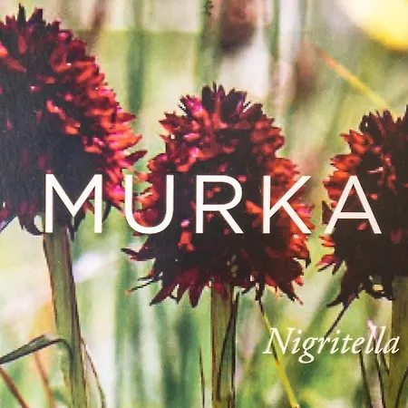 Apartmaji Alpski Cvet - Hisa Gorenc