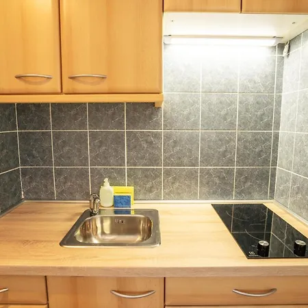 Apartmaji Alpski Cvet - Hisa Gorenc Lägenhet *