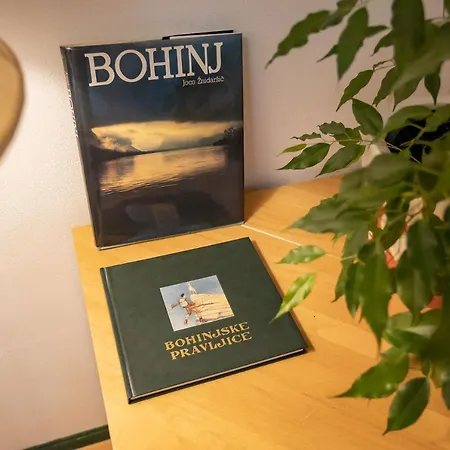 Apartmaji Alpski Cvet - Hisa Gorenc