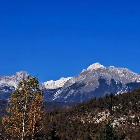 Apartment Apartmaji Alpski Cvet - Hisa Gorenc Bohinj