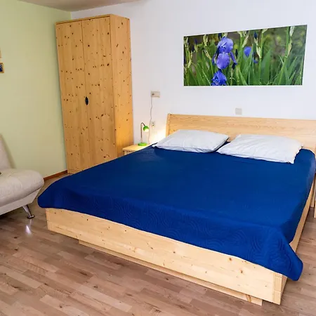 Apartmaji Alpski Cvet - Hisa Gorenc Bohinj