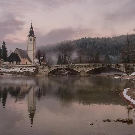 Lejlighed Apartmaji Alpski Cvet - Hisa Gorenc Bohinj
