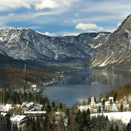 Apartmaji Alpski Cvet - Hisa Gorenc Appartement