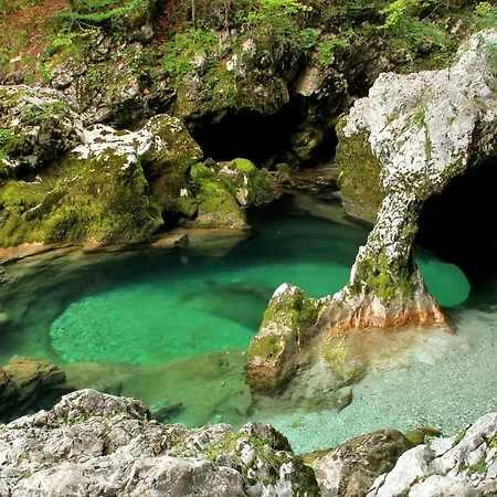 Apartmaji Alpski Cvet - Hisa Gorenc Lägenhet Bohinj