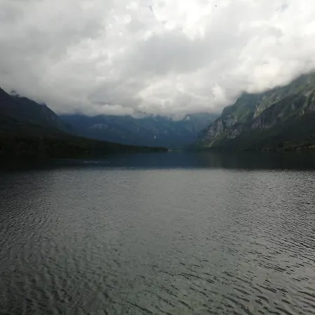 Apartmaji Alpski Cvet - Hisa Gorenc