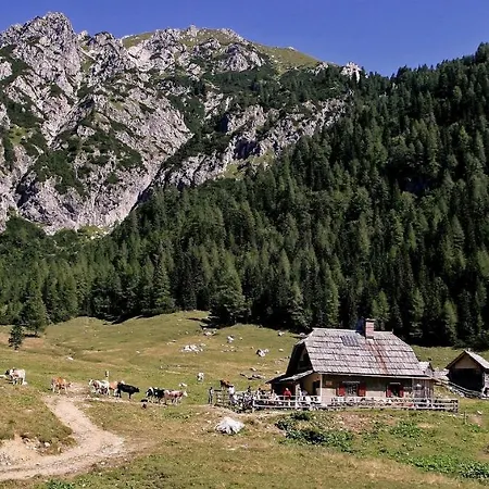 Apartmaji Alpski Cvet - Hisa Gorenc Apartment Bohinj