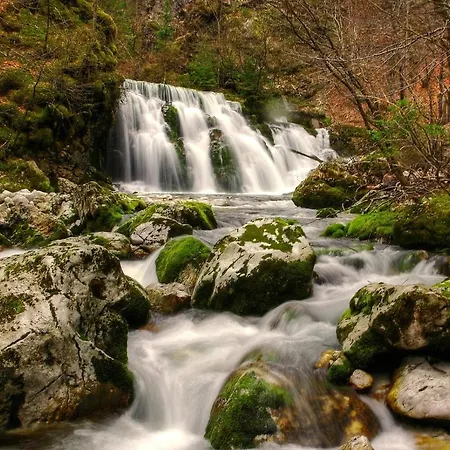 Apartmaji Alpski Cvet - Hisa Gorenc