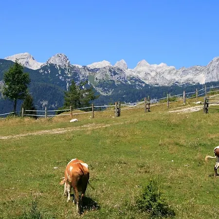 Apartmaji Alpski Cvet - Hisa Gorenc Lägenhet Bohinj