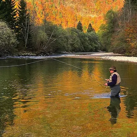Apartmaji Alpski Cvet - Hisa Gorenc Lägenhet Bohinj