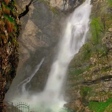 Lägenhet Apartmaji Alpski Cvet - Hisa Gorenc Bohinj