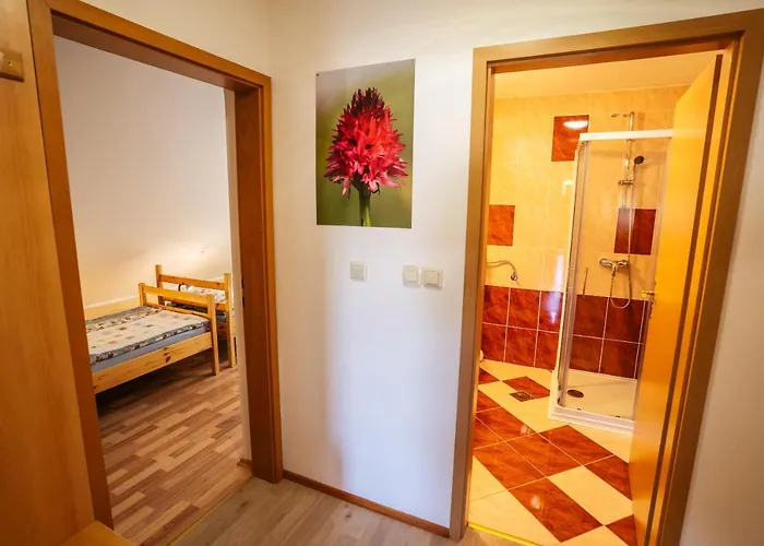 Apartmaji Alpski Cvet - Hisa Gorenc דירה