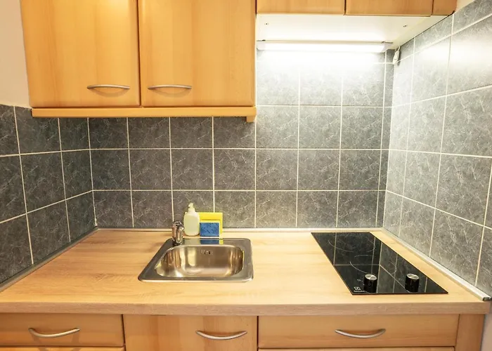 Apartmaji Alpski Cvet - Hisa Gorenc דירה *