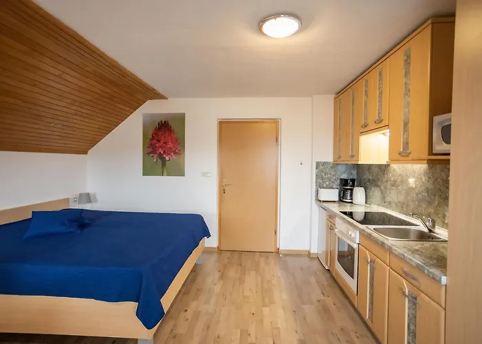 Apartmaji Alpski Cvet - Hisa Gorenc בוהין