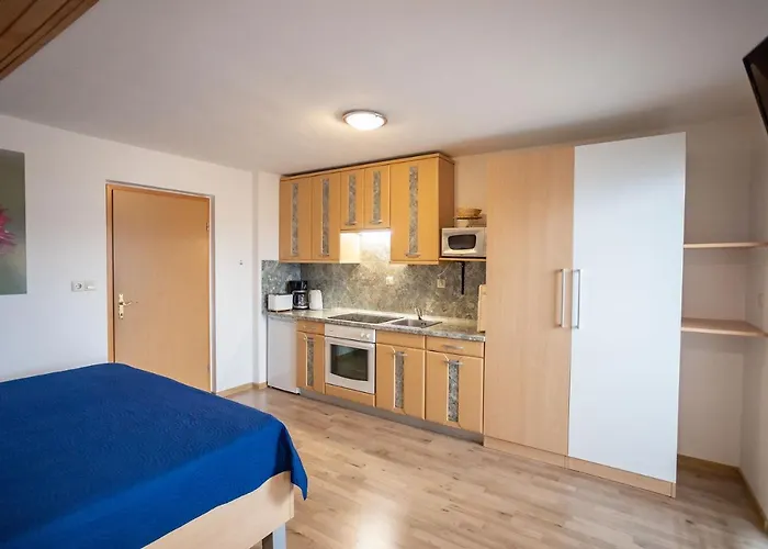Apartmaji Alpski Cvet - Hisa Gorenc * בוהין