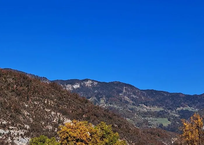 Apartmaji Alpski Cvet - Hisa Gorenc