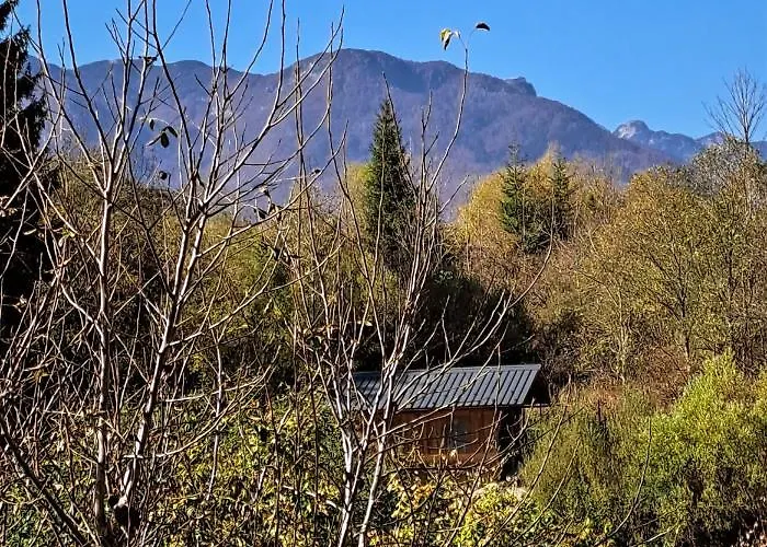 Apartmaji Alpski Cvet - Hisa Gorenc דירה