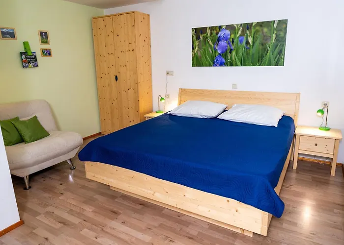 Apartmaji Alpski Cvet - Hisa Gorenc בוהין