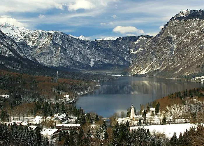 Apartmaji Alpski Cvet - Hisa Gorenc דירה