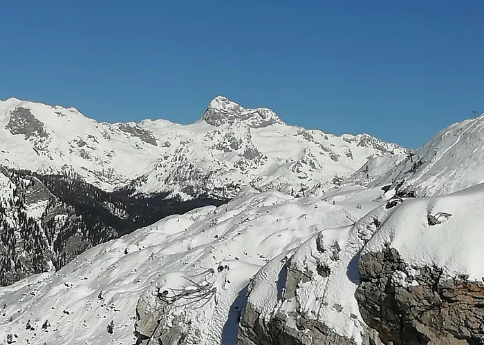 Apartmaji Alpski Cvet - Hisa Gorenc Apartman