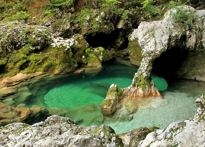 Apartmaji Alpski Cvet - Hisa Gorenc Apartman Bohinji-tó