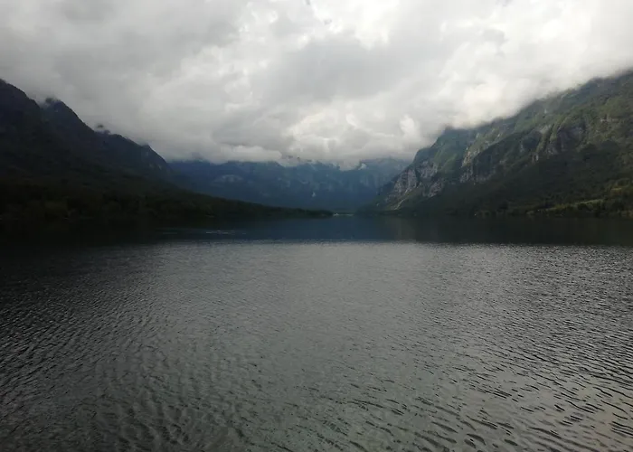 Apartmaji Alpski Cvet - Hisa Gorenc