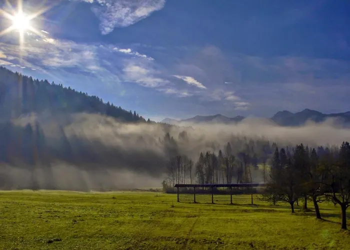 Apartmaji Alpski Cvet - Hisa Gorenc *