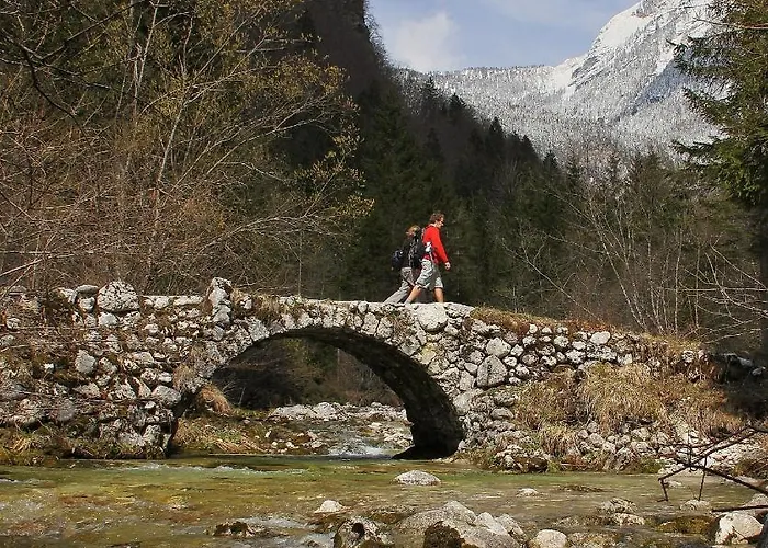 Apartmaji Alpski Cvet - Hisa Gorenc דירה
