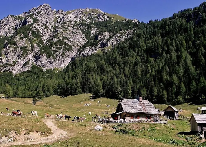 Apartmaji Alpski Cvet - Hisa Gorenc Apartman Bohinji-tó