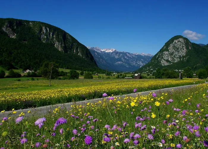 Apartmaji Alpski Cvet - Hisa Gorenc * בוהין