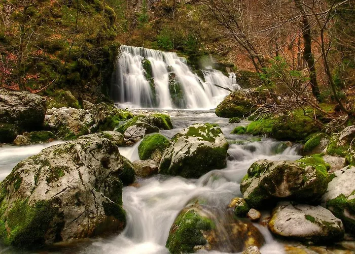 Apartmaji Alpski Cvet - Hisa Gorenc