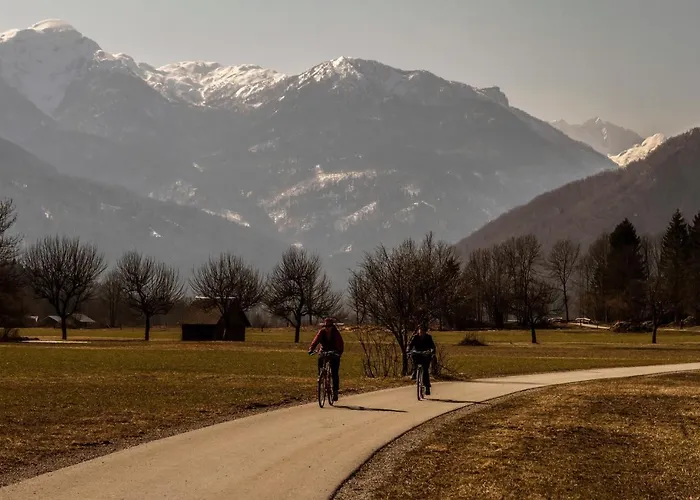 דירה Apartmaji Alpski Cvet - Hisa Gorenc בוהין