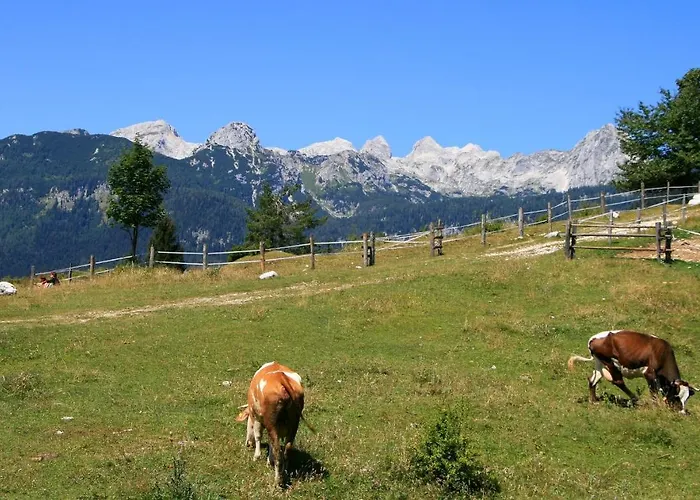 Apartmaji Alpski Cvet - Hisa Gorenc דירה בוהין