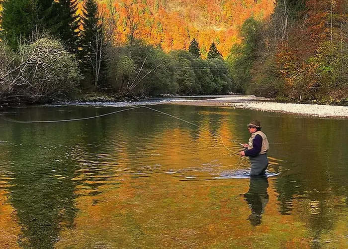 Apartmaji Alpski Cvet - Hisa Gorenc דירה בוהין