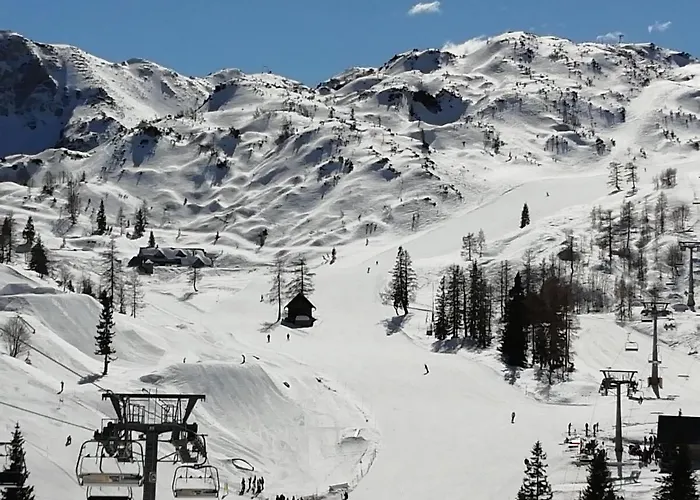 Apartmaji Alpski Cvet - Hisa Gorenc