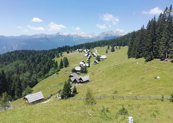 Apartmaji Alpski Cvet - Hisa Gorenc Apartman