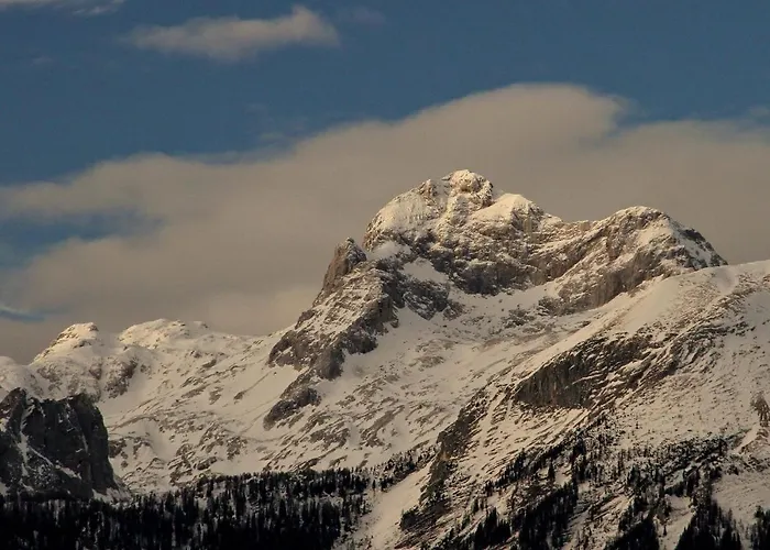 Apartmaji Alpski Cvet - Hisa Gorenc