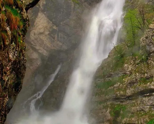 דירה Apartmaji Alpski Cvet - Hisa Gorenc בוהין