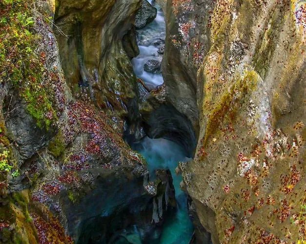 Apartmaji Alpski Cvet - Hisa Gorenc